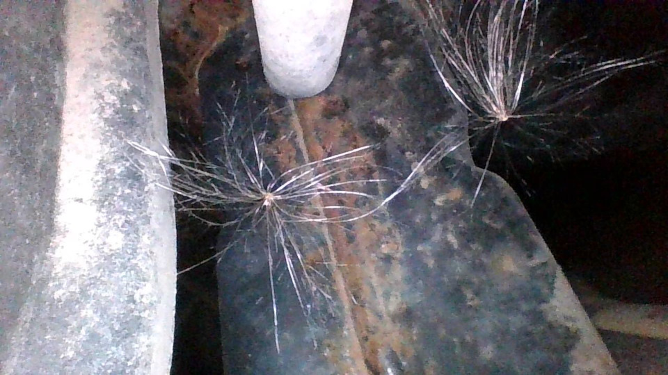 Подбор LEXUS GX460. Не все Тойоты одинаково полезны! фото 2 из 15