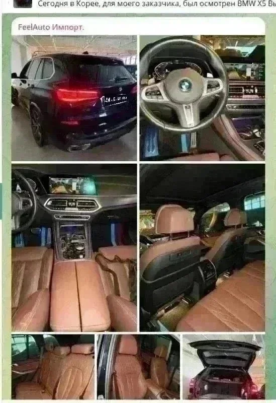 В России почти не осталось живых BMW X5. фото 11 из 15