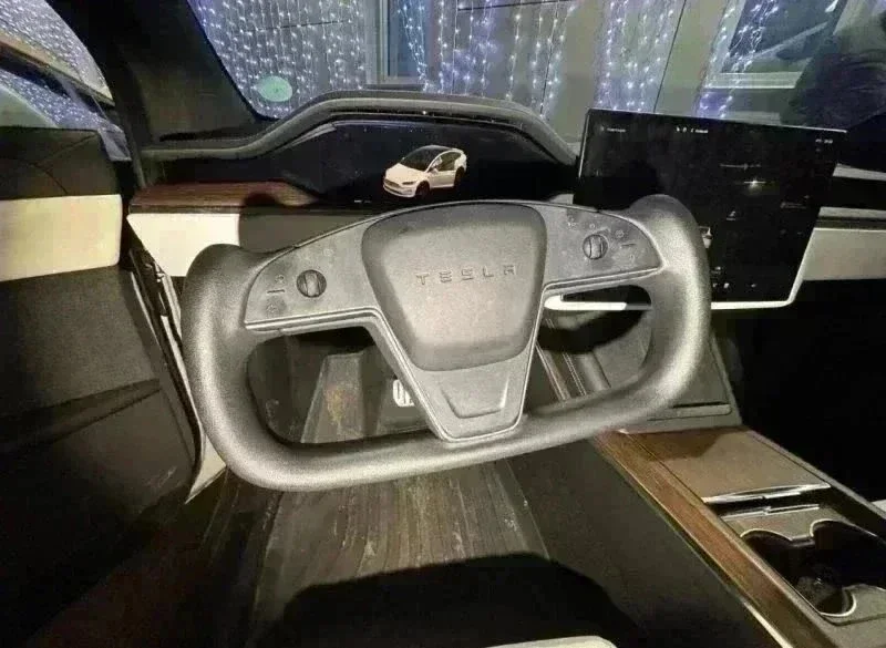 Tesla X 2021 года. Соломенная шляпа из Америки. фото 1 из 10