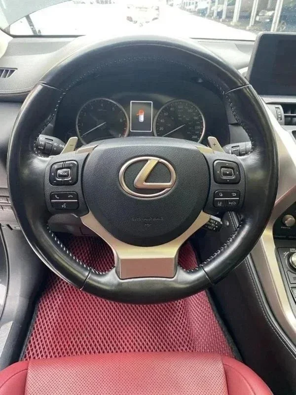 Лена хочет Лексус! фото 5 из 12