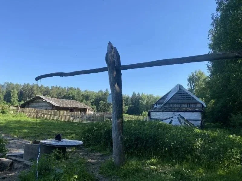 Подмосковные Кижи или как мы на экскурсию ходили. фото 2 из 10
