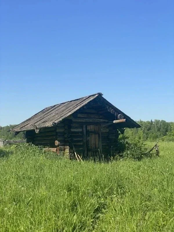 Подмосковные Кижи или как мы на экскурсию ходили. фото 10 из 10