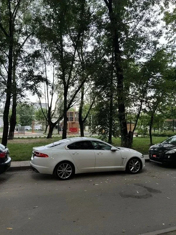 Котофей Иваныч прокололся, или удивительные приключения Jaguar XF250 фото 3 из 7