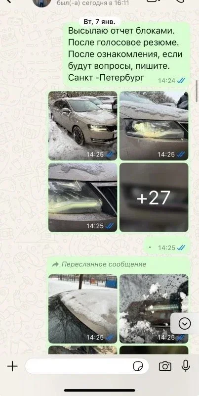 Поиск и подбор Skoda Rapid. Живого мало, но мы нашли! фото 2 из 5