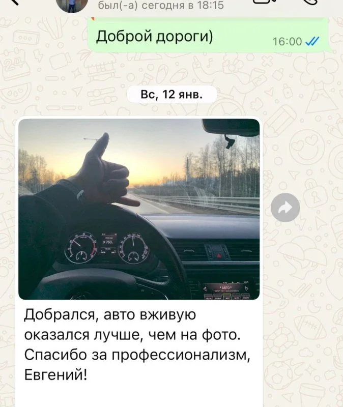 Поиск и подбор Skoda Rapid. Живого мало, но мы нашли! фото 5 из 5