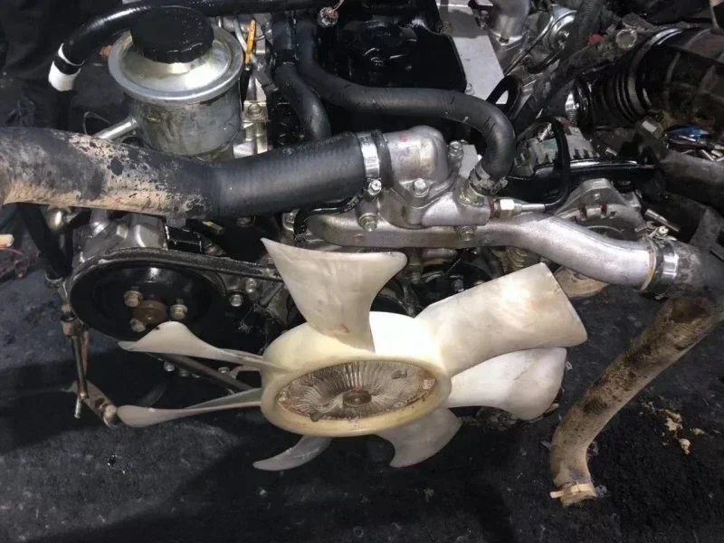 Остановка сердца фото 1 из 4