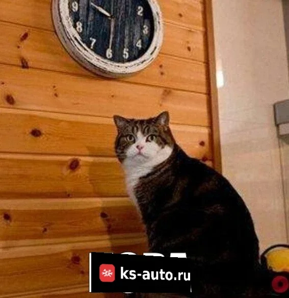 Путешествие по половине России на Mitsubishi Outlander 4 - часть 3 фото 1 из 4
