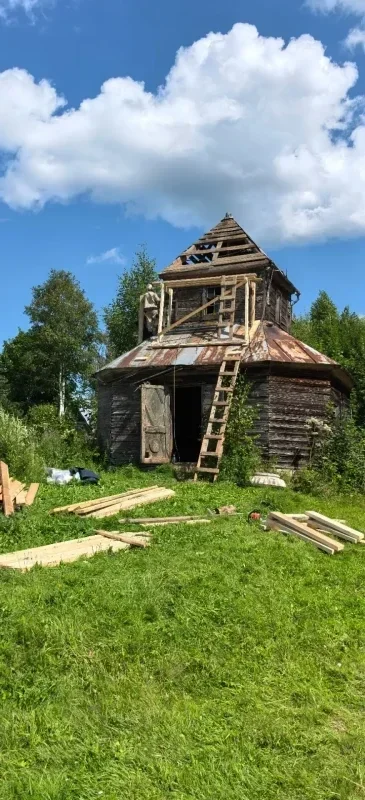 Маленькие чудеса. фото 1 из 1