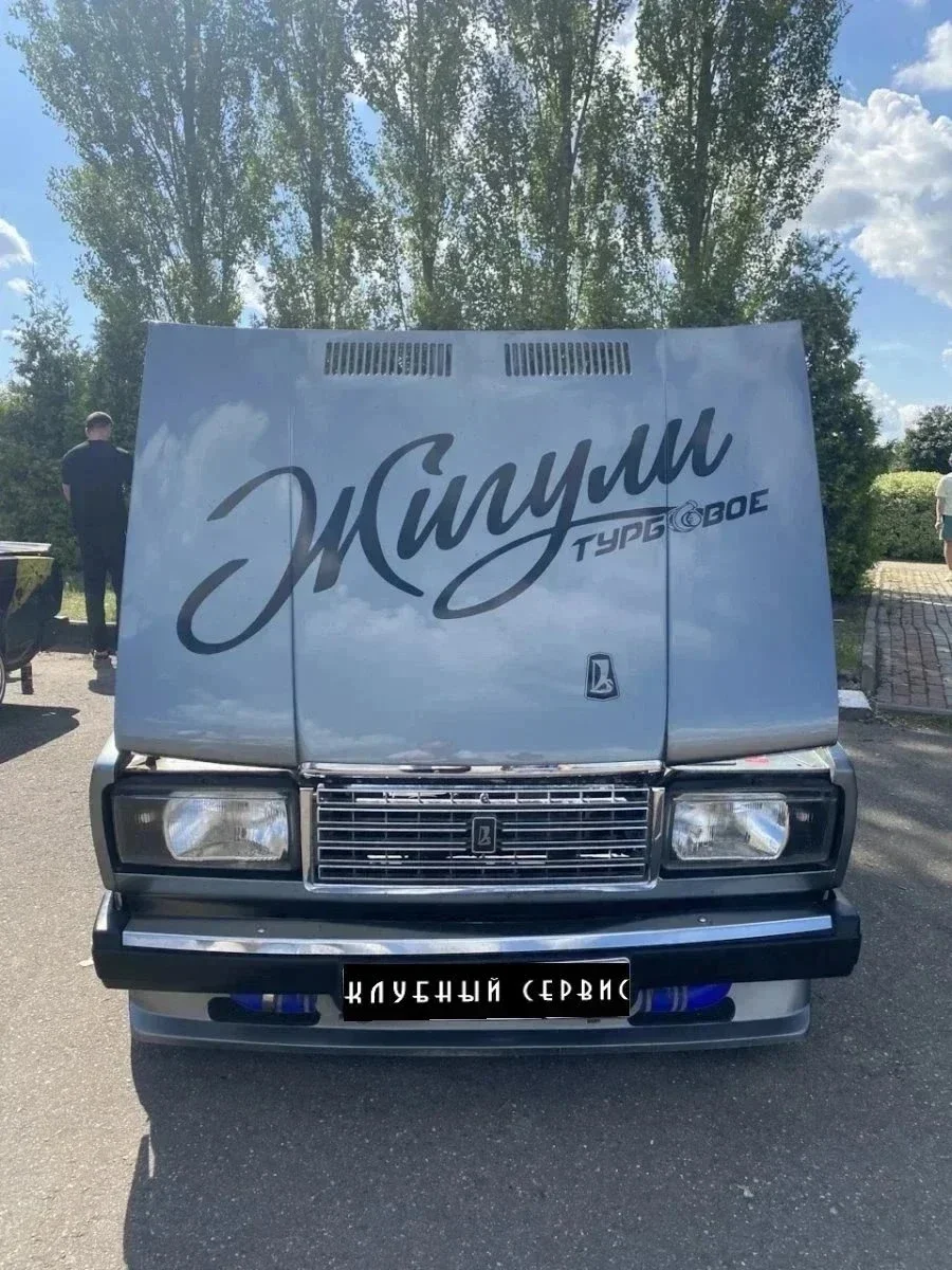 Как я в Подмосковье на выставку Жигулей ходил! фото 33 из 33