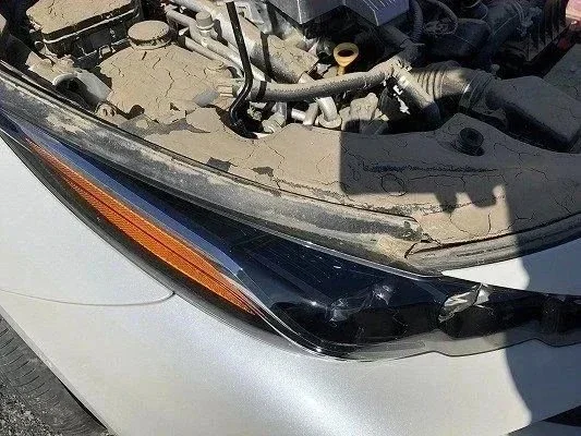 Утопленник из Японии! Осмотр Toyota Prius! фото 10 из 11