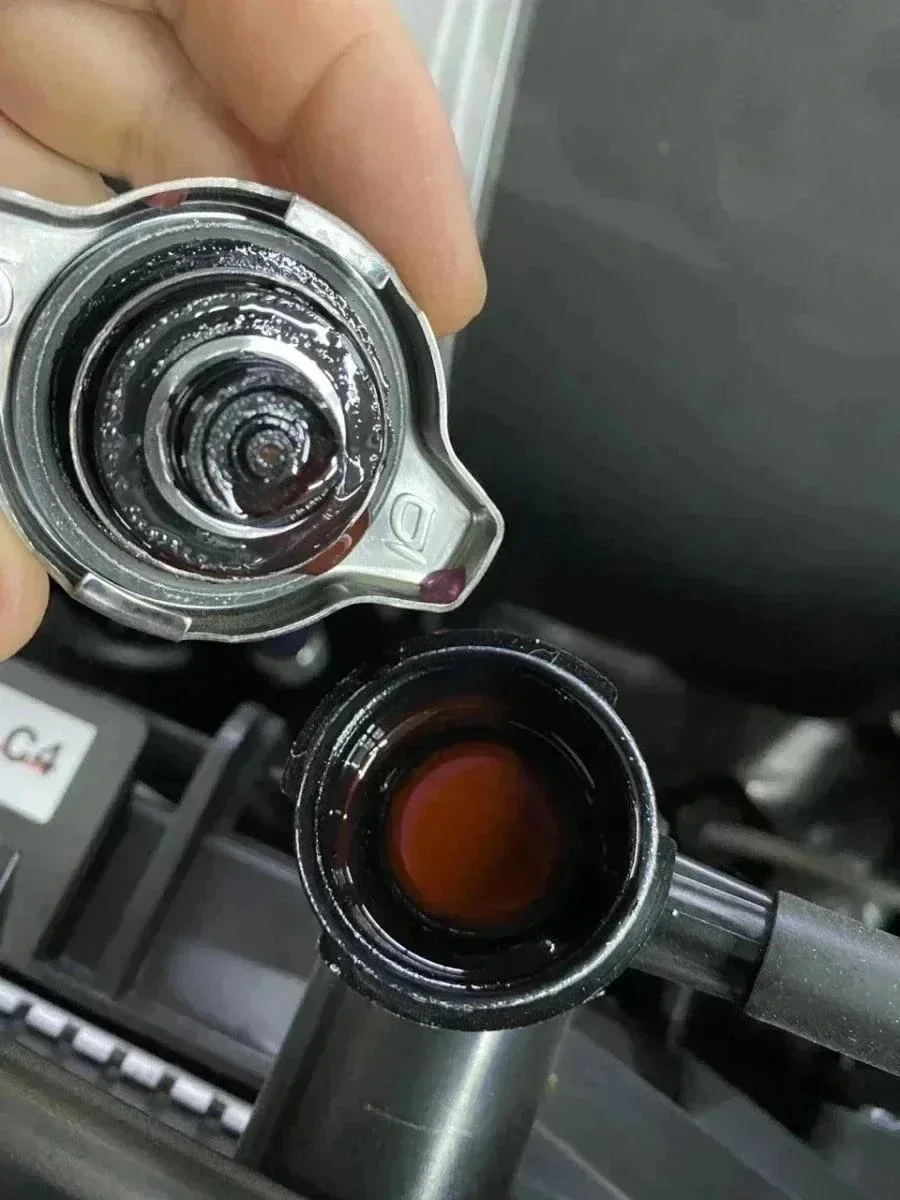 Германия — Корея — Киргизия — Москва или Lexus за 7 млн. рублей. фото 6 из 28