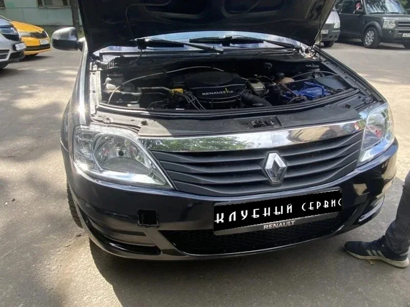 Renault Logan 2010 года от одного владельца. Бедный Йорик, может лучше тебя не откапывать! фото 3 из 6