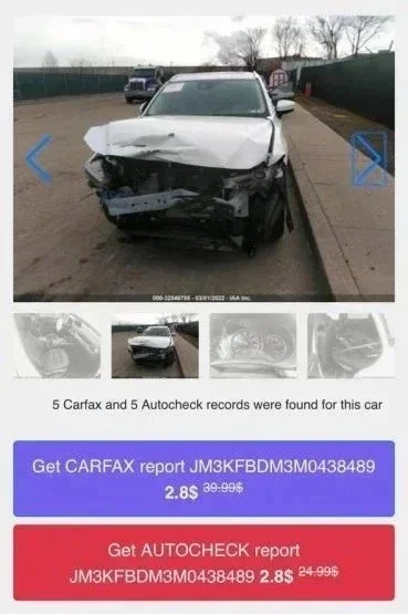 Лена хочет Лексус! фото 3 из 12