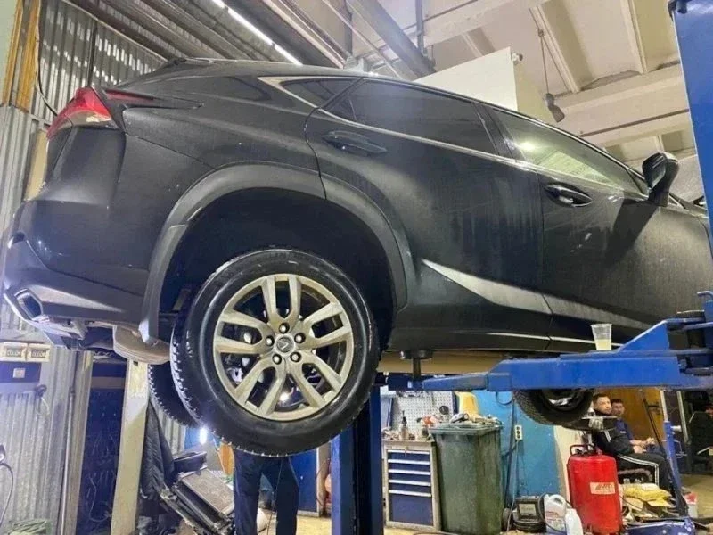 Лена хочет Лексус! фото 11 из 12