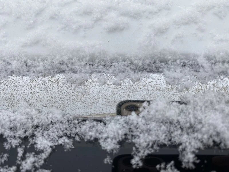 Не все Корейцы одинаково полезны. фото 12 из 12