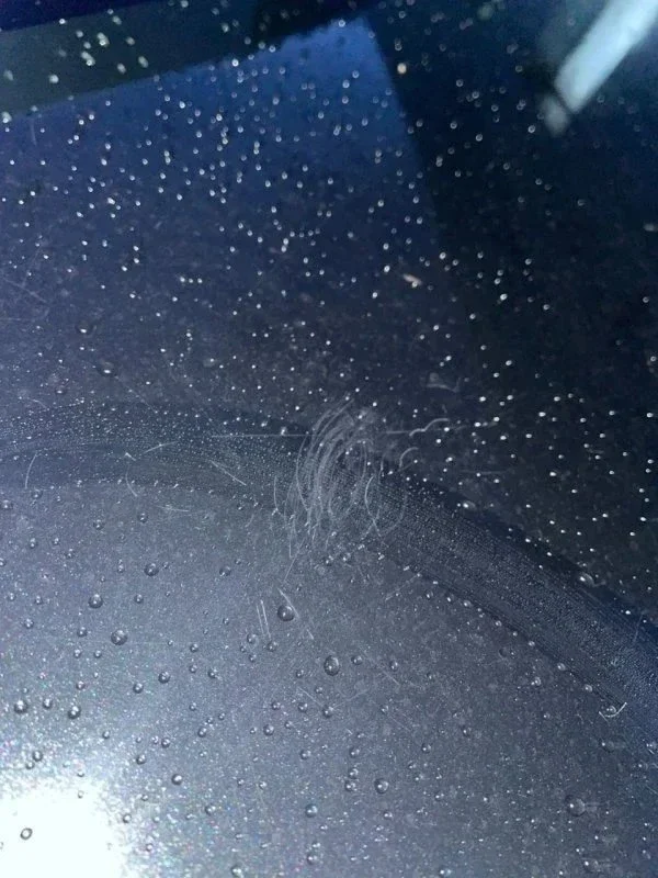 Поиск и подбор Toyota Corolla за 1 миллион рублей. Часть вторая. Итог. фото 10 из 13