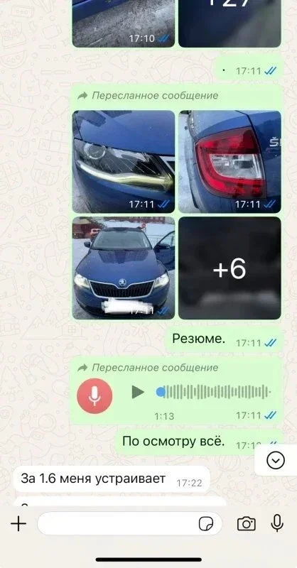 Поиск и подбор Skoda Rapid. Живого мало, но мы нашли! фото 1 из 5