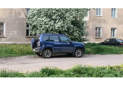 Ремни в автомобиле - что нужно знать