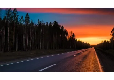 Обмануть можно только тех, кто вам верит...