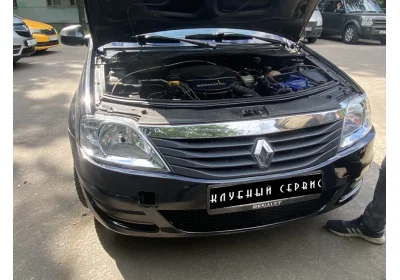 Renault Logan 2010 года от одного владельца. Бедный Йорик, может лучше тебя не откапывать!