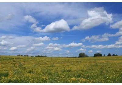 Эта заметка об Арктическом Гектаре написана только для того чтобы в конце вставить ссылку