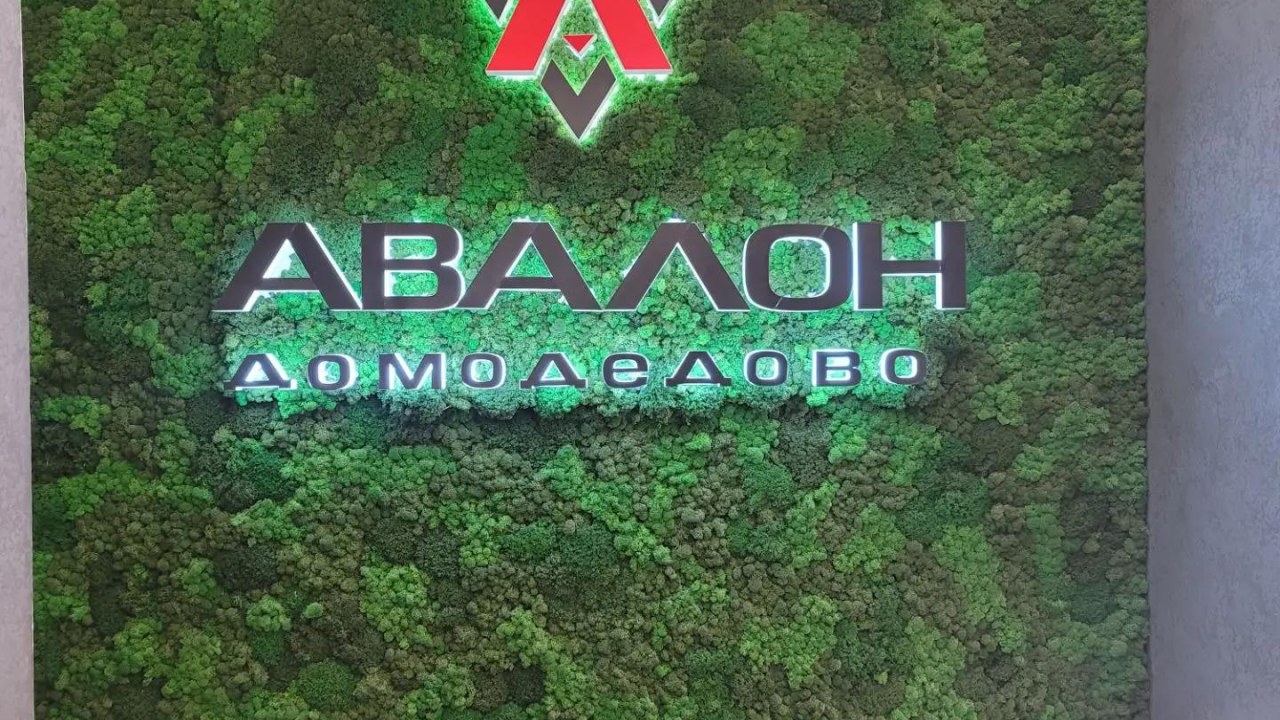 ООО "АВАЛОН"