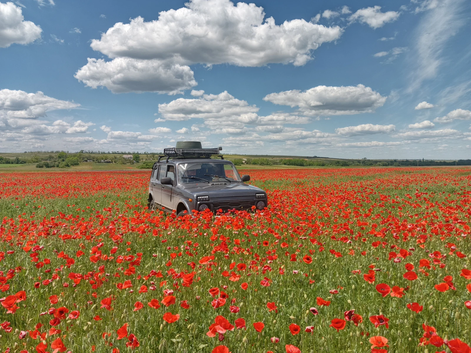 Lada (ВАЗ) 2131 (4x4), 2016г, полный привод, механика