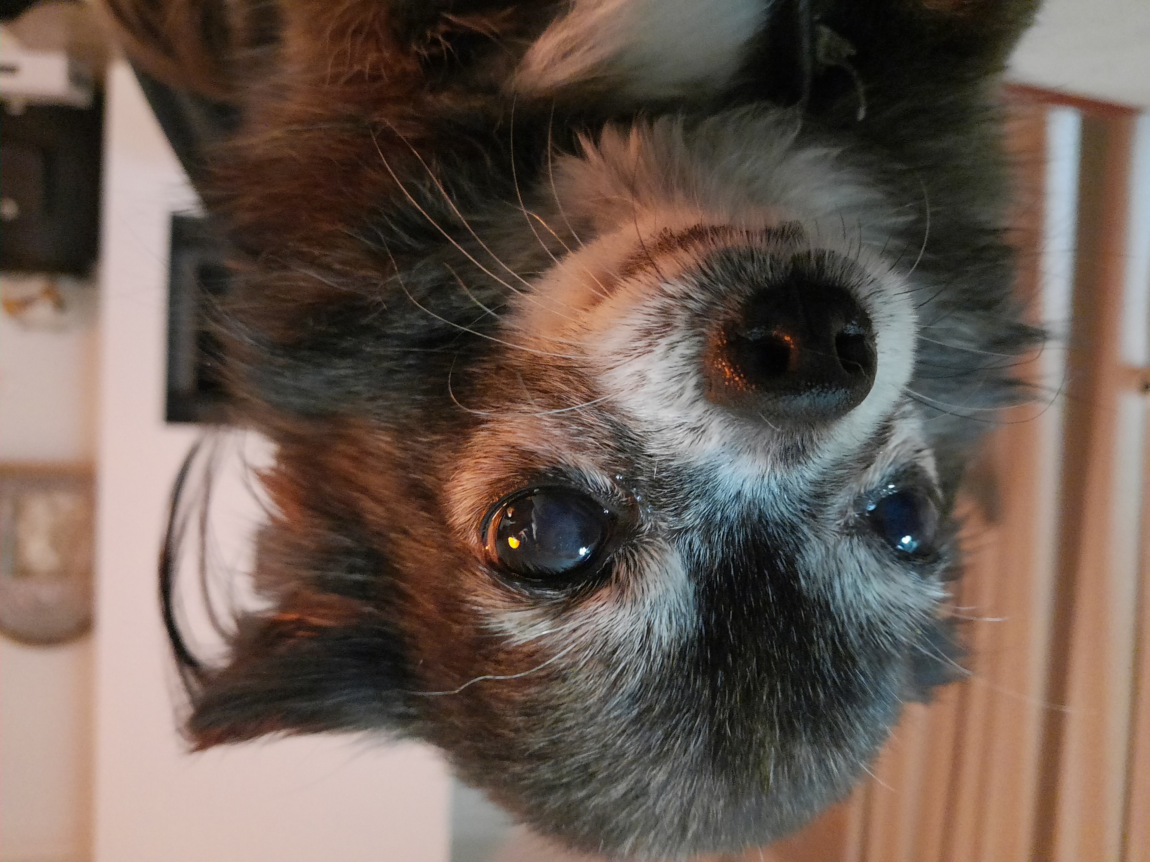 Вячеслав Маяцкий