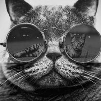 Сергей Юрьевич