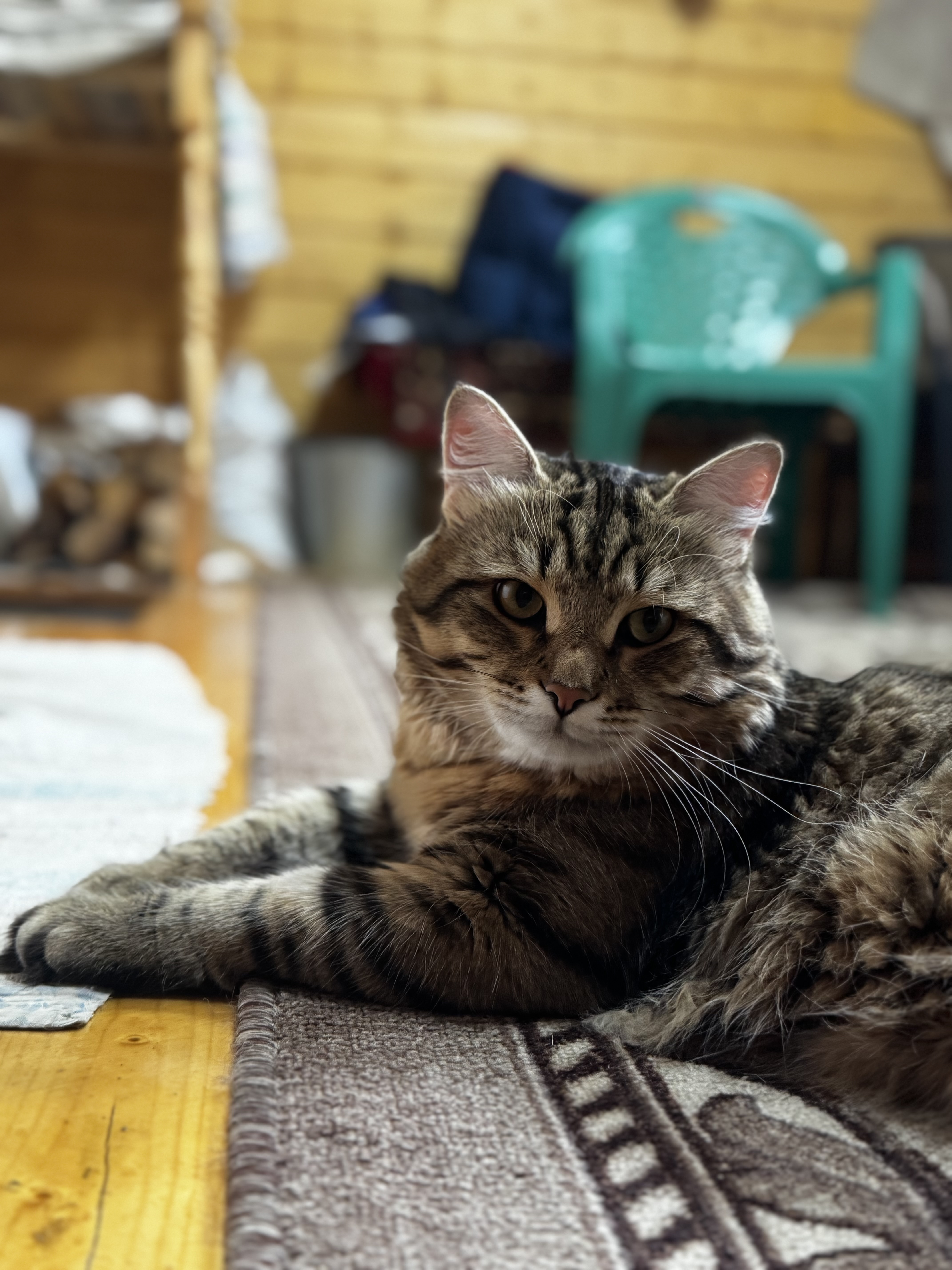 Константин