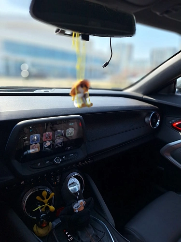 Chevrolet Camaro, 2016г, задний привод, автомат