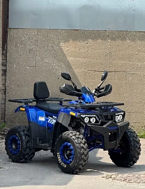 Motoland Wild Track 200, 2025г, Полный привод, АКПП