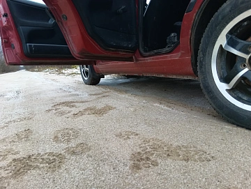 Volkswagen Golf, 1991г, передний привод, механика