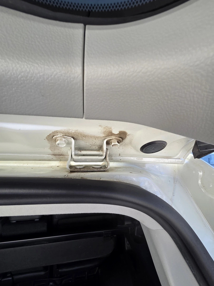 Toyota Land Cruiser, 2019г., полный привод, автомат
