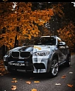 BMW X6 M, 2009г., полный привод, автомат