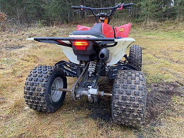 Motoland ATV 250S, 2019г, Задний привод, Механическая