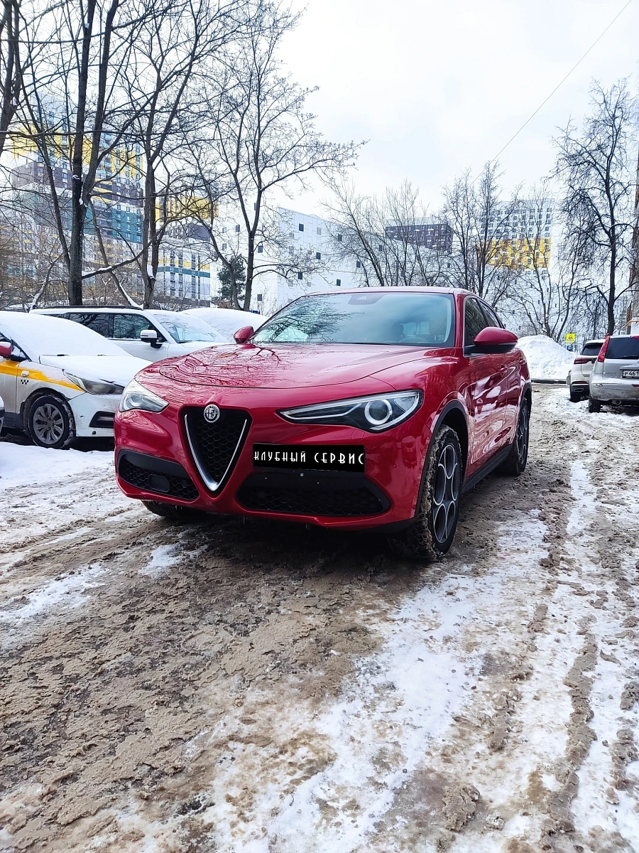 Alfa Romeo Stelvio, 2019г., полный привод, автомат