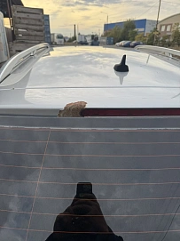 Audi A4, 2005г, передний привод, механика