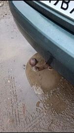 Lada (ВАЗ) Priora, 2010г, передний привод, механика