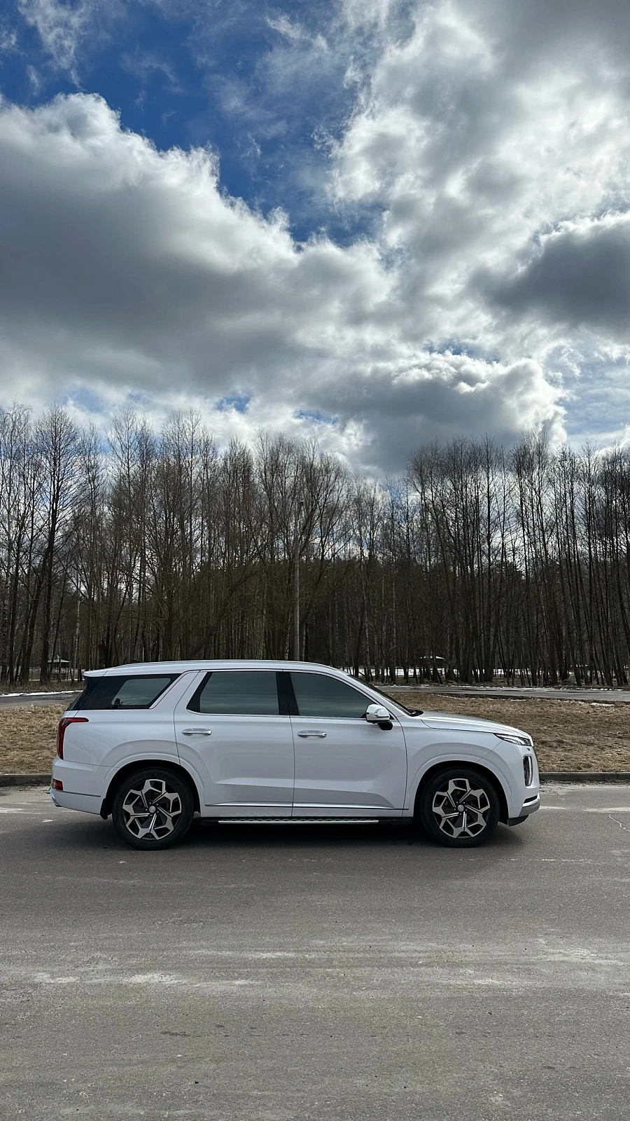 Hyundai Palisade, 2020г., полный привод, автомат