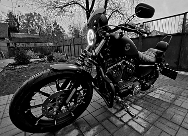 Harley Davidson Sportster 883, 2021г, Ремень привод, 5 передач