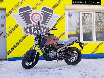 Racer Caiman, 2025г, Цепь привод, 5 передач