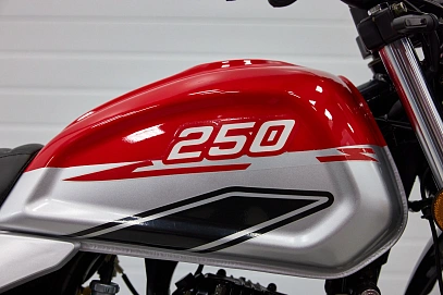 Fuego Rambolor 250, 2025г, Цепь привод, 6 передач
