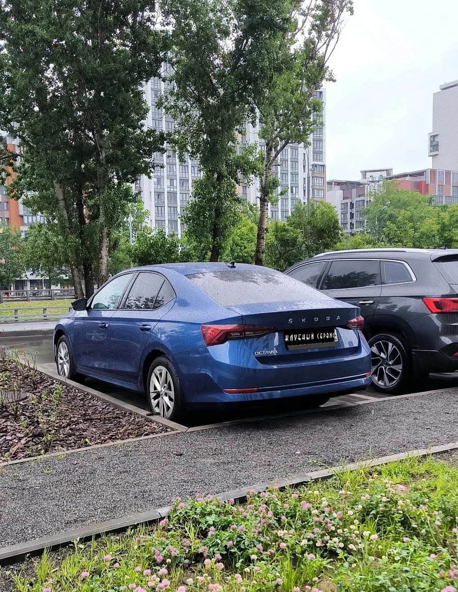 Skoda Octavia, 2021г., передний привод, автомат