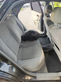 Chevrolet Lacetti, 2007г, передний привод, автомат