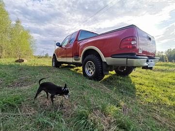 Ford F-150, 2003г, полный привод, автомат