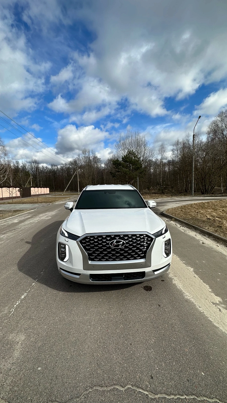 Hyundai Palisade, 2020г., полный привод, автомат