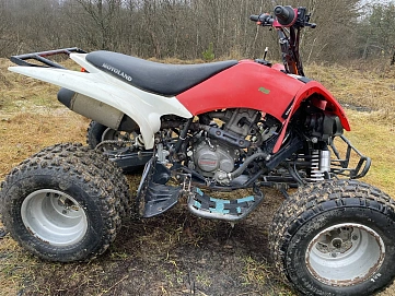 Motoland ATV 250S, 2019г, Задний привод, Механическая