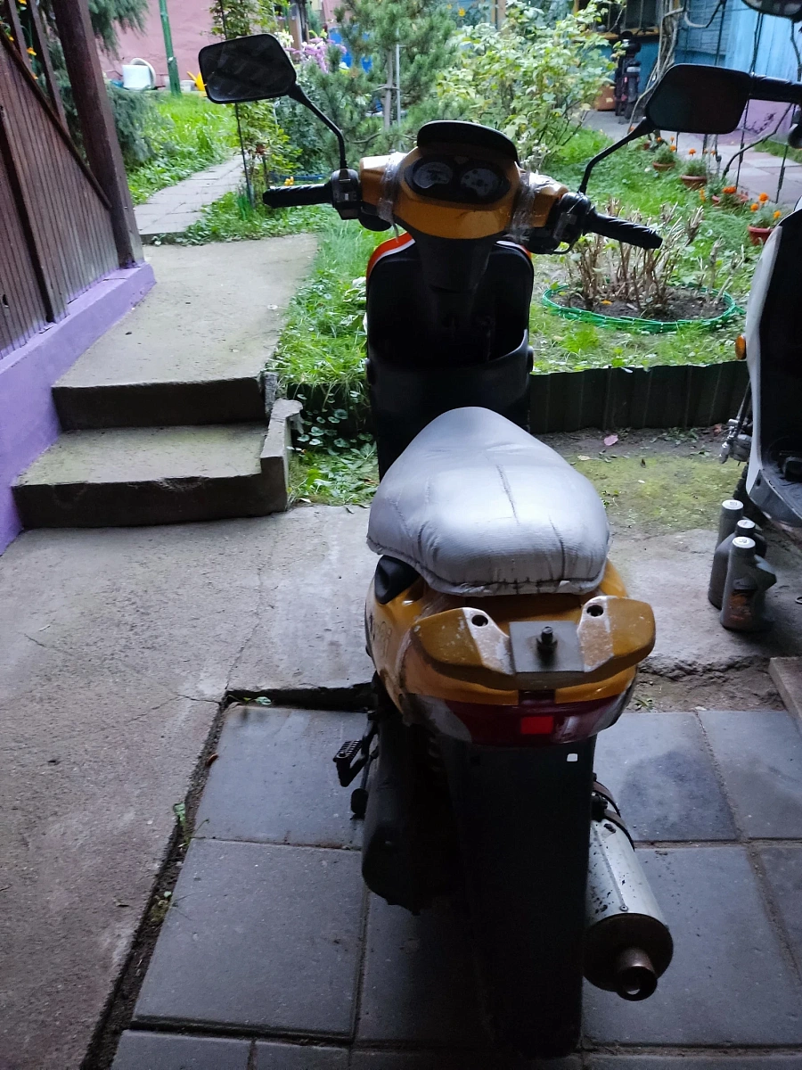 Viper Storm, 2006г.