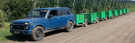 Lada (ВАЗ) 2131 (4x4), 2007г, полный привод, механика